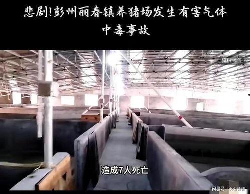 彭州网友爆料新闻事件,惊现神秘事件，真相令人震惊！  第2张